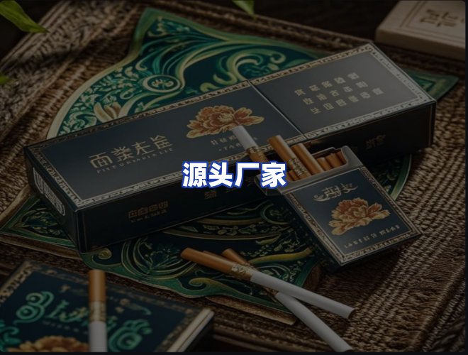 专业团队